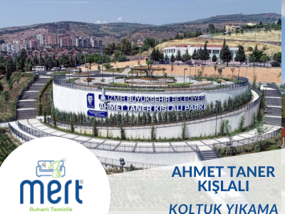 Ahmet Taner Kışlalı Koltuk Yıkama 