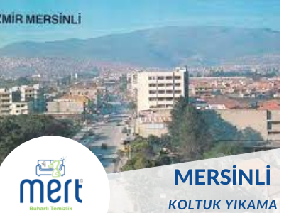 Mersinli Koltuk Yıkama 