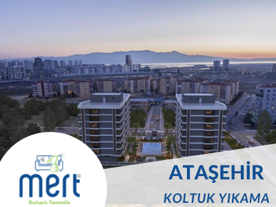 Ataşehir Koltuk Yıkama 
